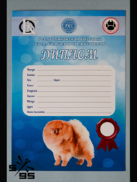 Буклеты листовки